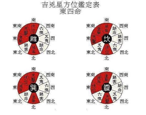 東南朝西北 閪毛